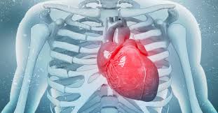 Heart muscle weakness In Jordan 